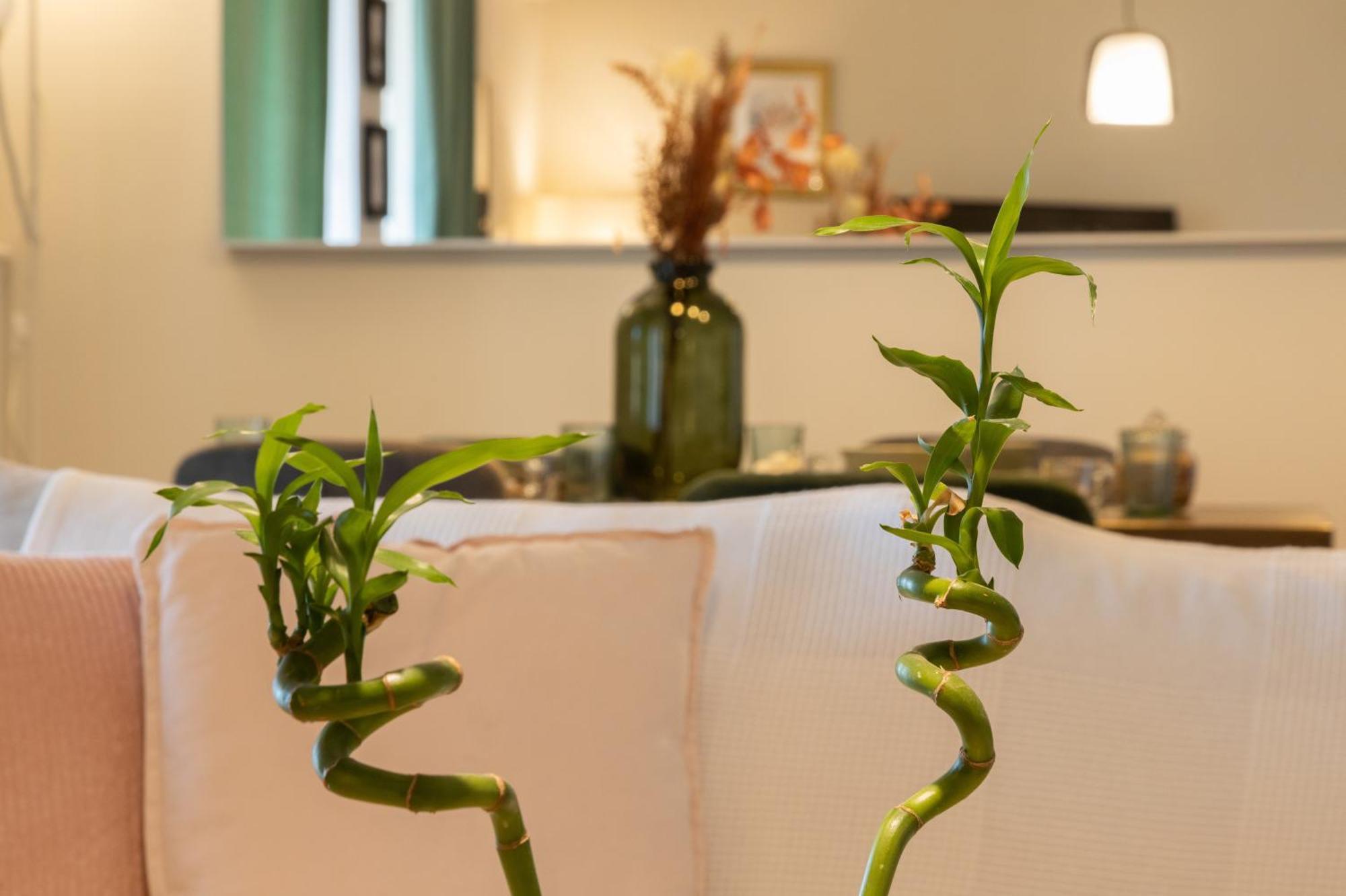 אתונה Glyfada Golf Fourth Floor Apartment מראה חיצוני תמונה